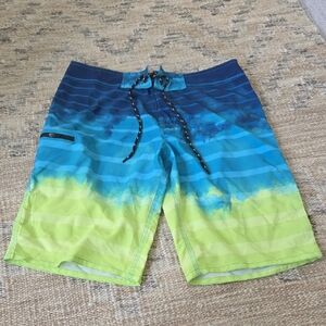 Blue and Green Men's Swim Board Shorts